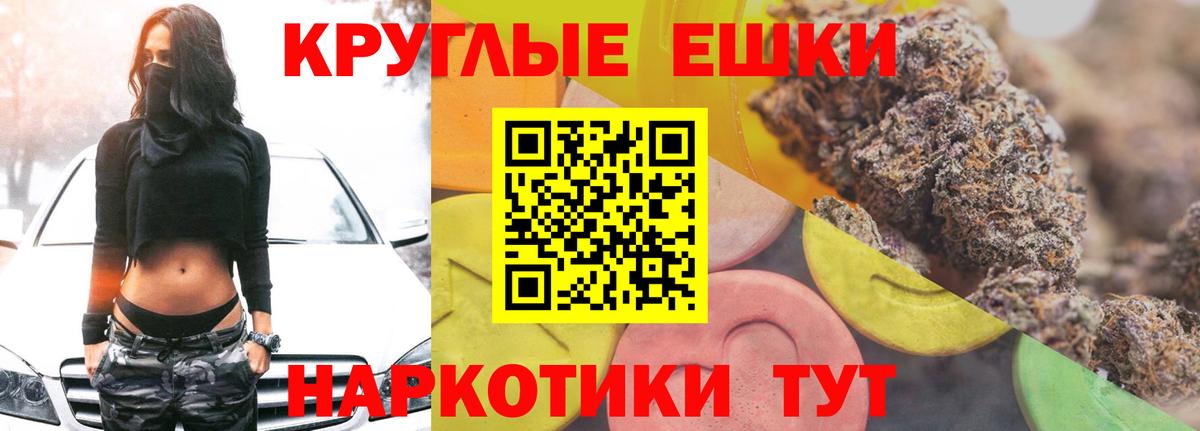 Орехово-Зуево  Ecstasy Philipp Plein  Вход с VPN 