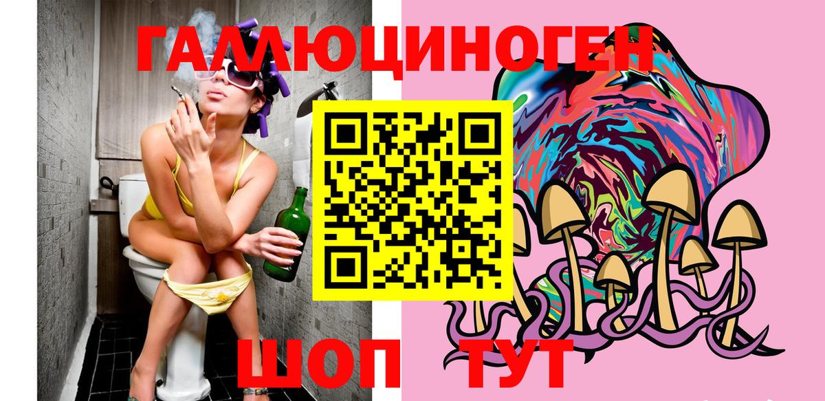 Галлюциногенные грибы Psilocybe  Вход с VPN  Орехово-Зуево  Псилоцибиновые грибы Psilocybe 