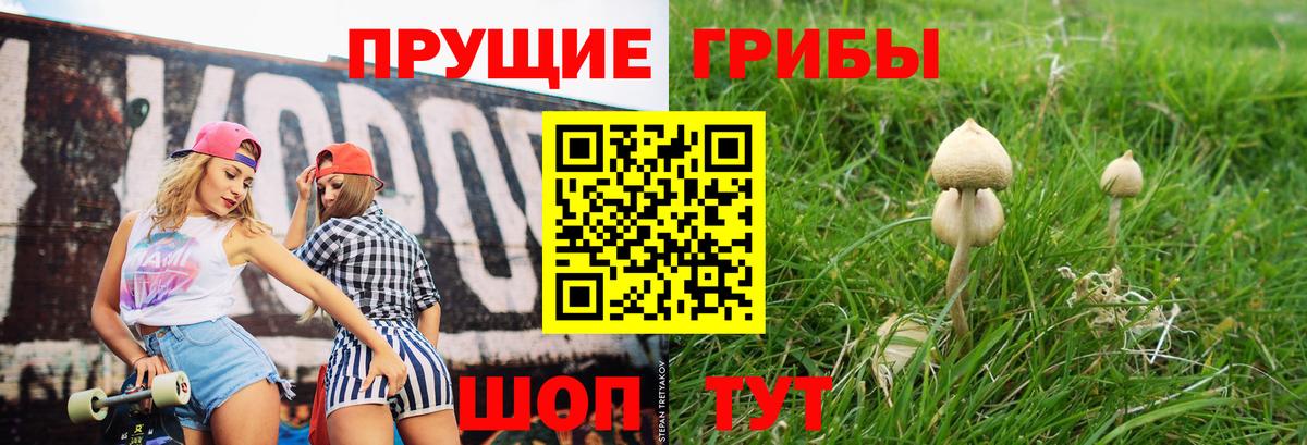 Псилоцибиновые грибы GOLDEN TEACHER Орехово-Зуево